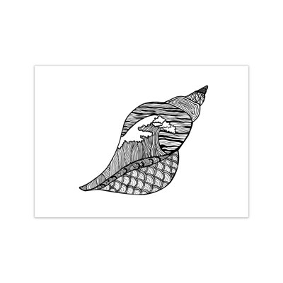 Shell by Carissa Tanton - Print