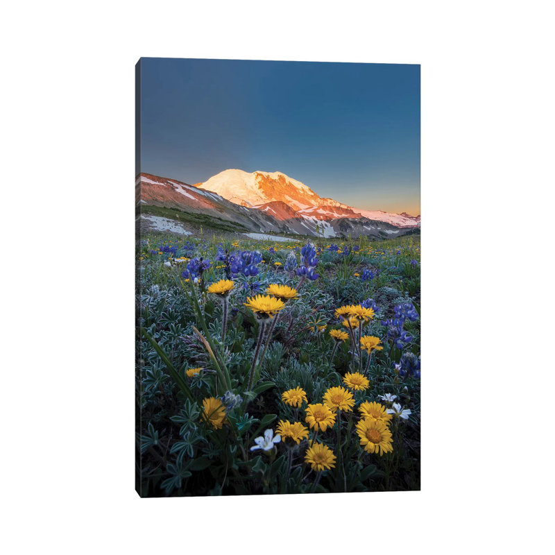 Alpine Wildflowers Dwarf Lupine, Tolmie's Saxifrage And Alpine Daisy by Gary Luhm - Wrapped Canvas Print
