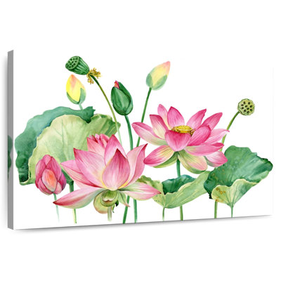 Harnek grappe de lotus rose