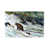 Wrapped Canvas selected