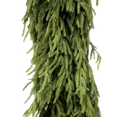 72x16" Natural Touch Norfolk Pine Garland