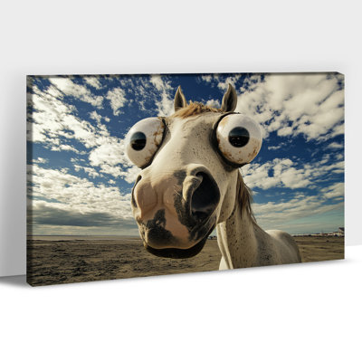 Art mural cheval GUTTATE, décoration murale photos cheval, peinture murale cheval pour le salon, art mural sur toile cheval, affiches à cheval pour bureau mural encadrées prêtes à être accrochées 12 po x 16 po