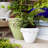 Rustic Garden Handmade Cachepot-69215986