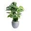 Pot à fleur Dorlis Fiberstone-881441044-809609163