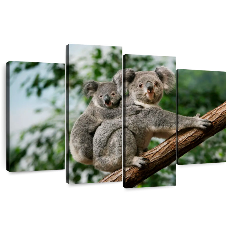 Brampt Koala Mother And Joey