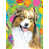 Australian Shepherd (Brown and white)