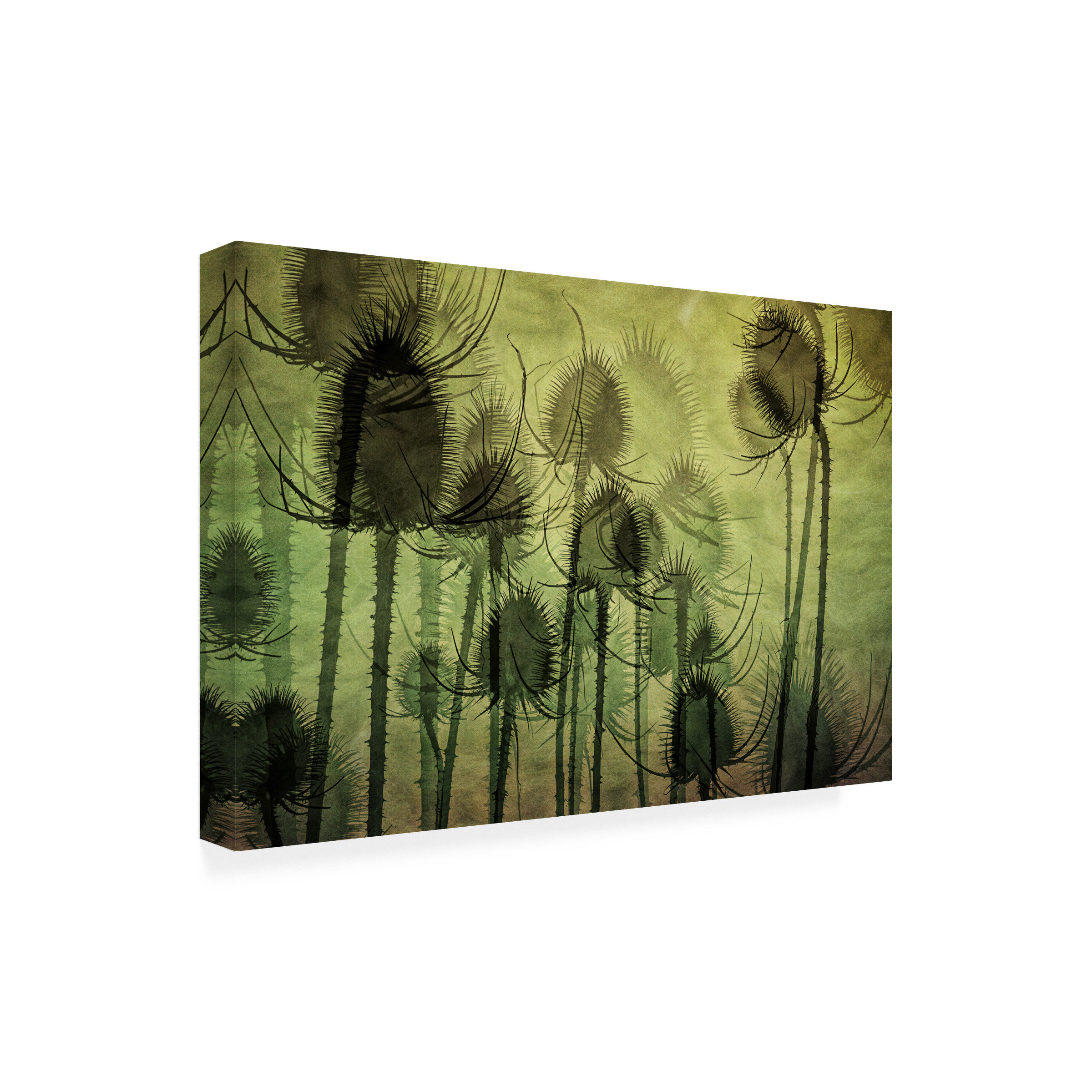Red Barrel Studio® Argiri Wild Teasel by Katarina Holmstrom | Wayfair