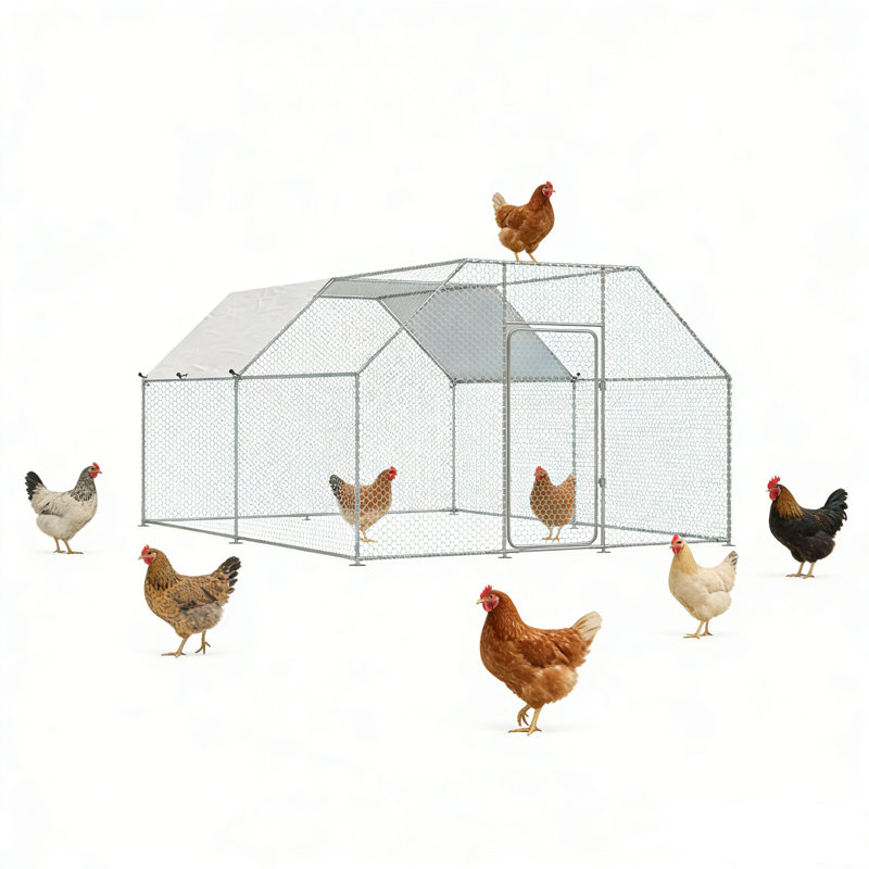 Grand poulailler en métal pour la cour avec couvercle, 13 pi x 10 pi x 6,4 pi, 6,4 po H x 10 po L x 13 po P