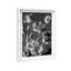 Botanique Noir II Print by Oliver Gal-1748550343-1748550345