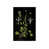 Couche de verre