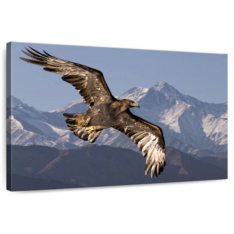 Eagle And Snowy Mountains, 30" H x 45" W