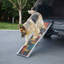 Rampe pour chien pliable et portable de 64 po avec tapis antidérapant et vif