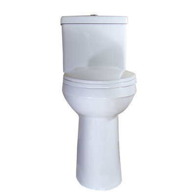 Dual-Flush Elongated Two-Piece Toilet (Seat Included)