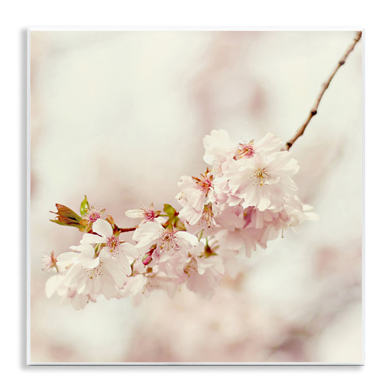 «Delicate Cherry Blossom», art mural sur bois par Sarah Gardner