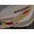 Matted Framed Print