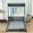 Ayomiposi Queen Low Profile Storage Murphy Bed-1604403640