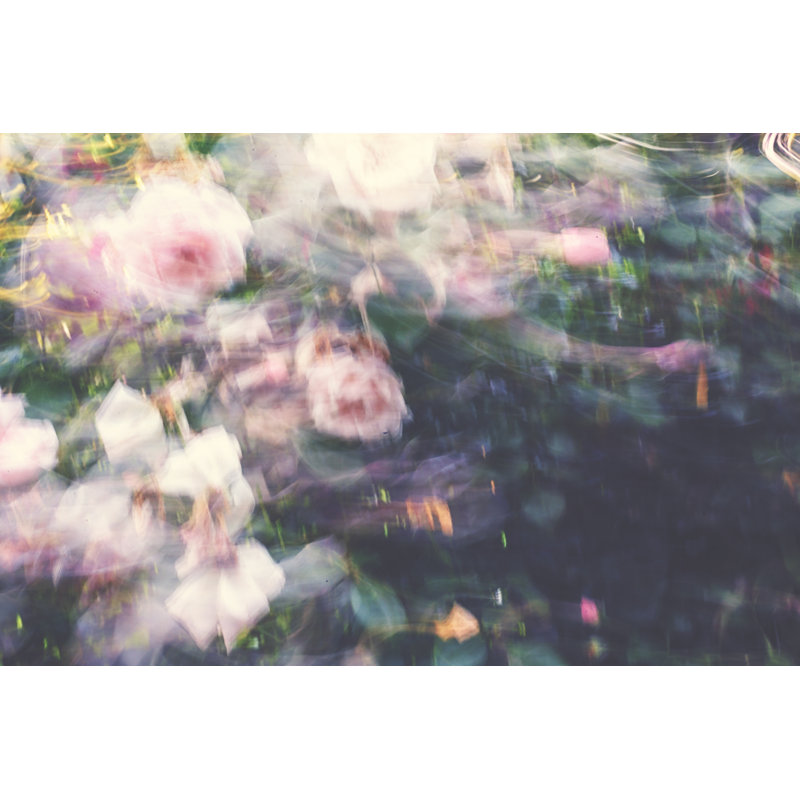 Garden Rose With Motion Blur by Rike_ - Wrapped Canvas Print, 30cm H x 46cm W