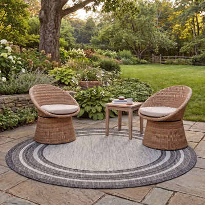 Chapa Machine Woven Striped Area Rug