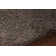 Barun Area Rug in Black And Gray