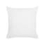 Ambrasia Indoor / Outdoor Floral Square Cushion