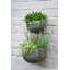 Euan Metal Wall Planter