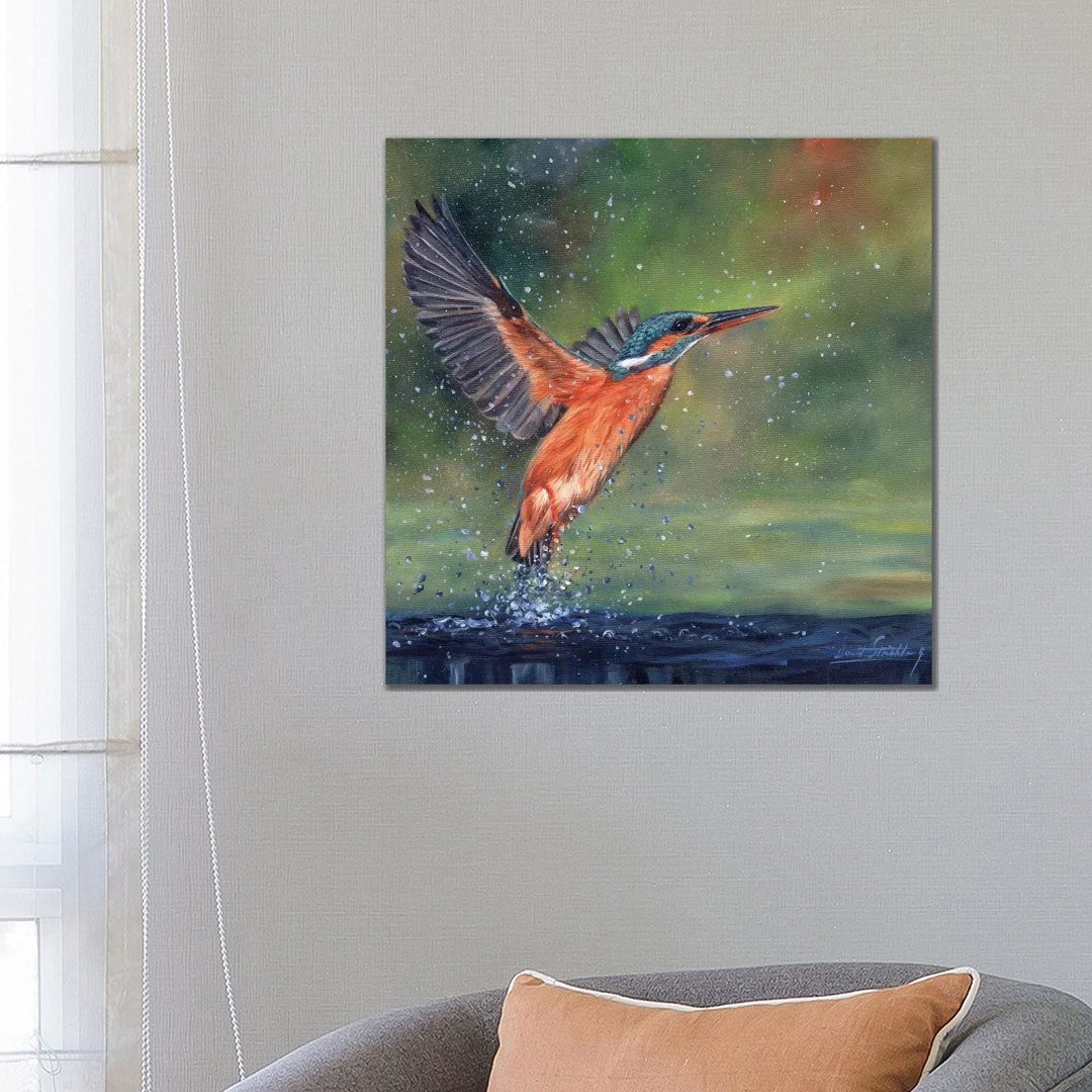 Eisvogel von David Stribbling - Galerie-umwickelte Leinwand Giclée