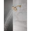 Pomme de douche fixe multifonction-74457043