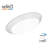 Dimmable Circle Flush Mount