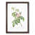 Walnut Framed selected