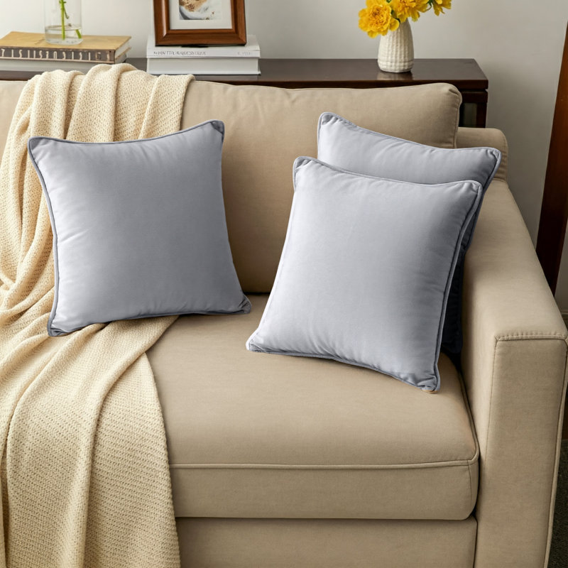 A1HC Set of 2 Luxurious Velvet Throw Pillow Covers — Soft Decorative Cushions with Hidden Zipper, 20" x 20", Light Grey