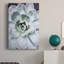 Pastel Succulent Beauty IV - Photographie sur toile tendue-395265444