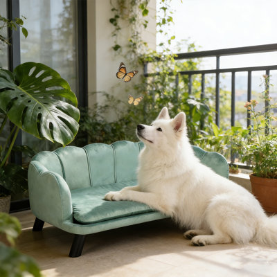 Grand canapé pour chien en velours à structure en bois avec coussin en mousse amovible, lit doux et mignon avec motif perlé, canapé pour grands et moyens chiens, vert