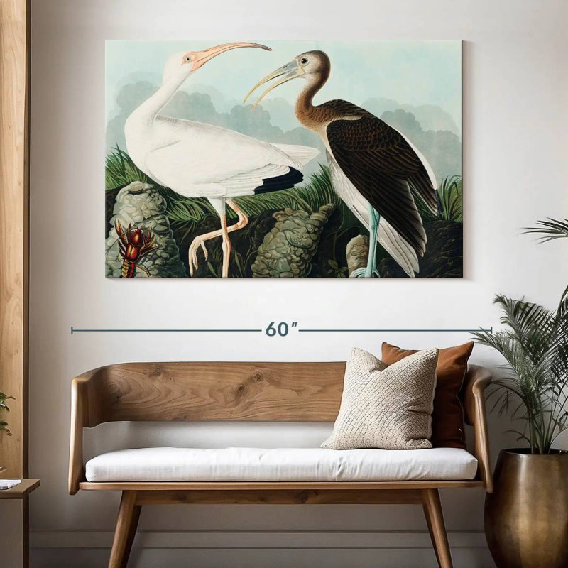 Brampt White Ibis, 34" H x 51" W