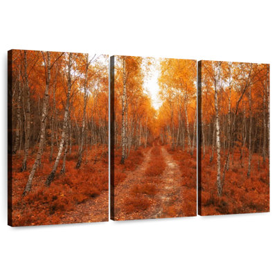 Forêt de bouleaux dorée Alvord