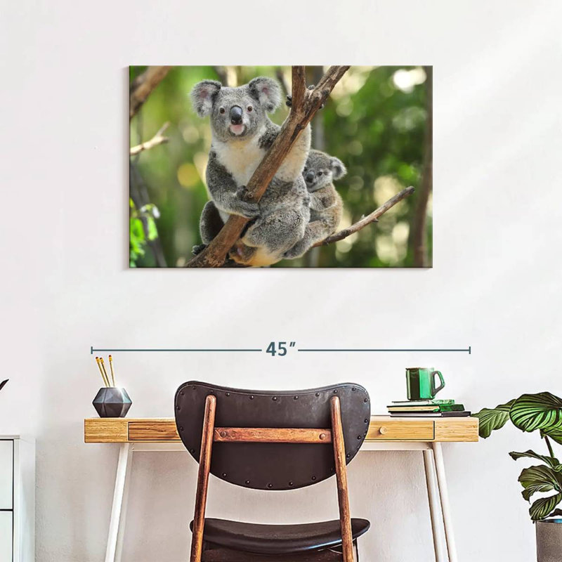 Australian Koala Bears, 24" H x 36" W