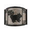 Raccoon On The Loose 1 - Light Flush Mounted Sconce