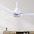 Alessandra 72'' Ceiling Fan-615459971-670286135