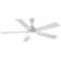 Celano 52'' Ceiling Fan with LED Lights