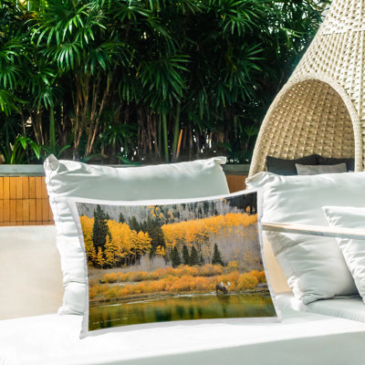 Moose at Priest Lake Outdoor Printed Pillow by Chris Vest