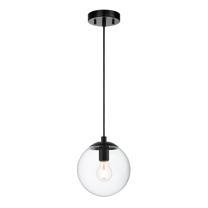 Matte Black Globe Pendant Light with Clear Glass Shade