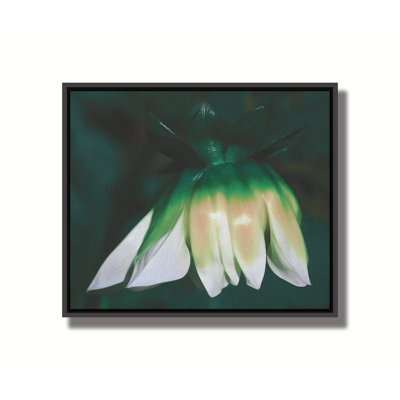 Zinnia Blossom par Hal Halli. Toile giclée sur toile tendue avec cadre flottant