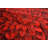 Andreoni Floral Indoor Rug-650518484