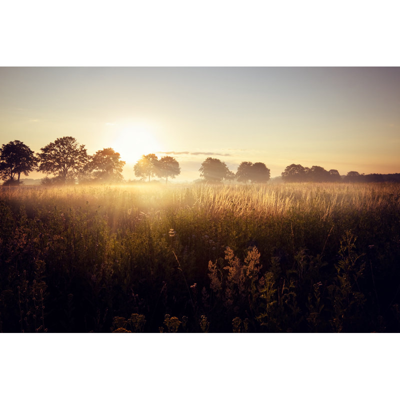 Morning In Wild Meadow - Wrapped Canvas Print, 61cm H x 91cm W x 3.8cm D