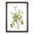 Walnut Framed selected