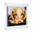 Devian Clear Acrylic Floating Picture Frame-2108986326-2108986309