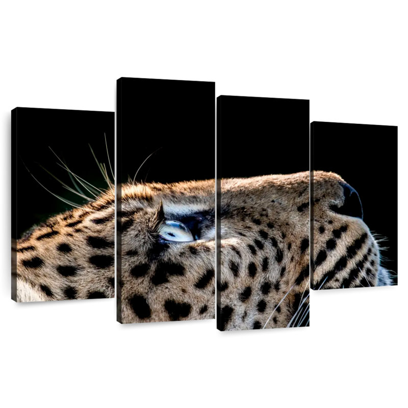 Brampt Leopard Looking Up, 27" H x 43" W