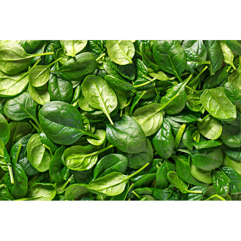 Spinach Background by Virtustudio - Wrapped Canvas Print, 51cm H x 76cm W