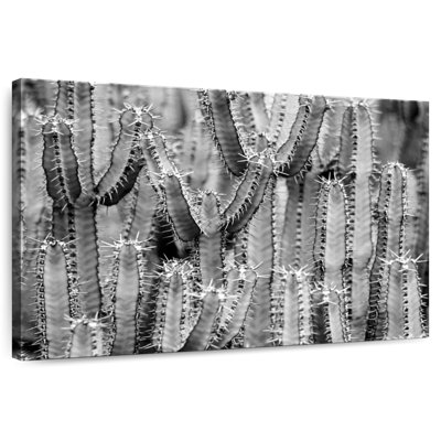 Harnek Cactus Black And White