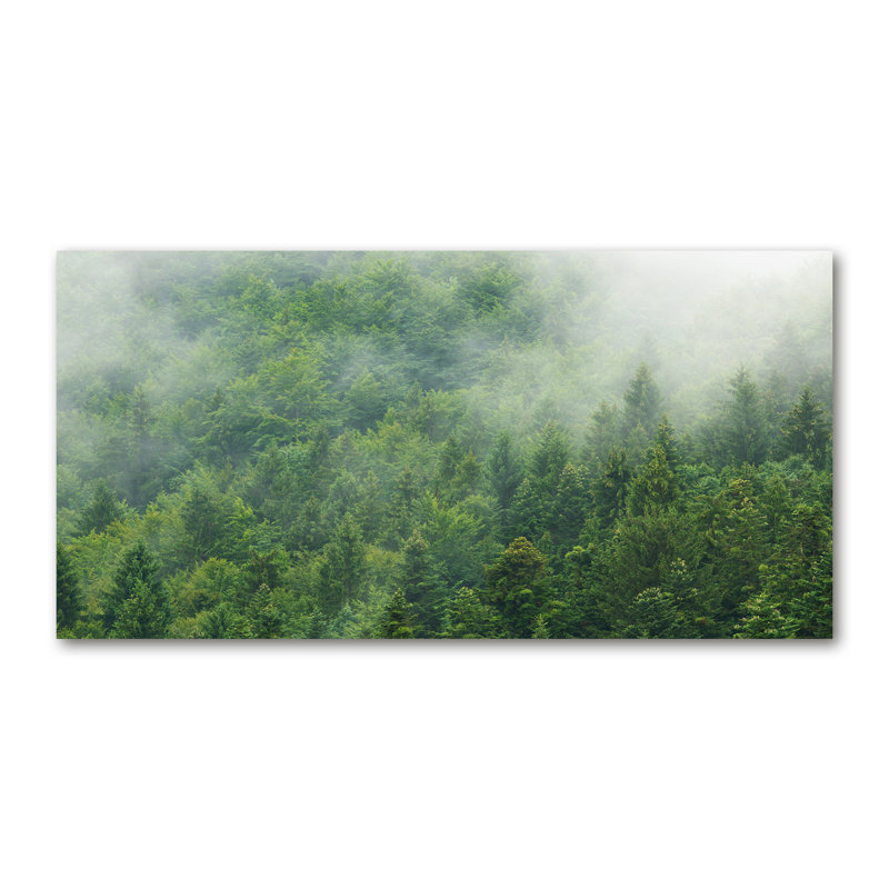 Mysterious Forest - Wrapped Canvas Print, Canvas, 50cm H x 100cm W