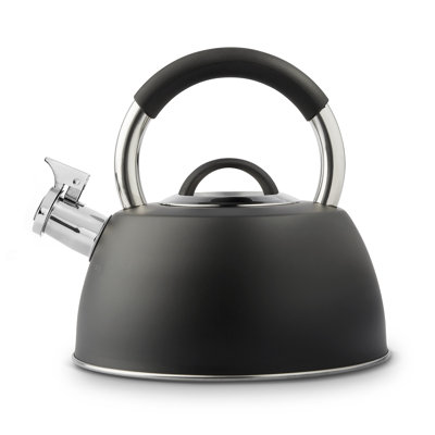 Symple Stuff Copeland 2.5L Stainless Steel Whistling Stovetop Tea Kettle